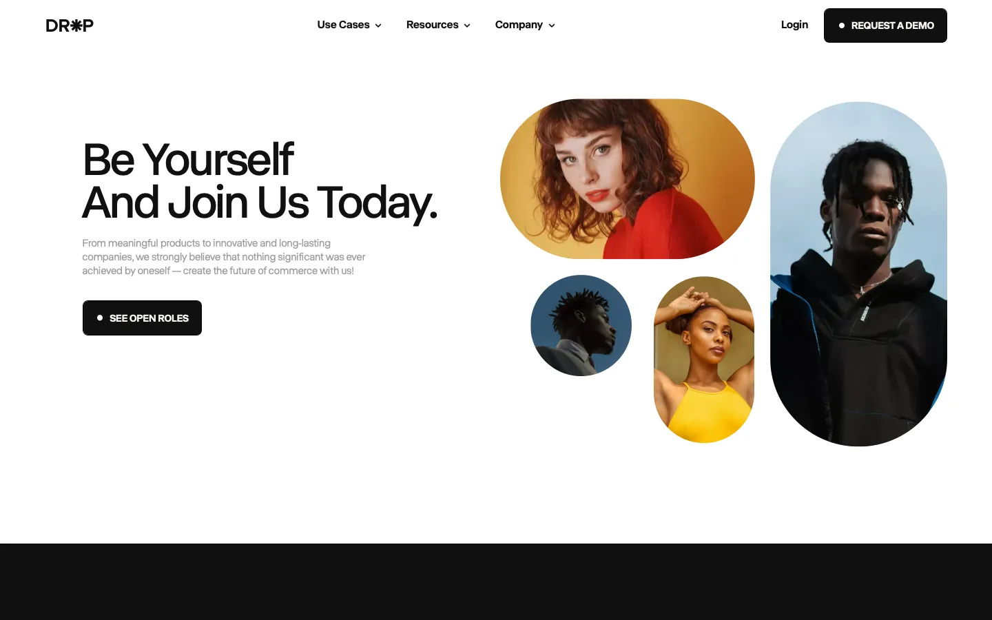 usedrop.io - Careers Screenshot Preview