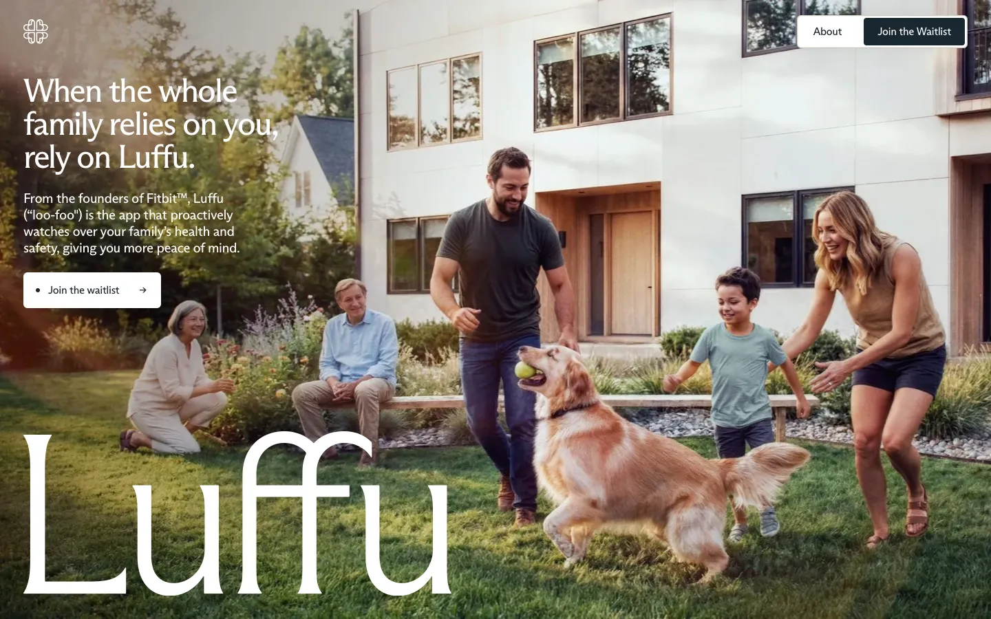 luffu.com - Landing Screenshot Preview