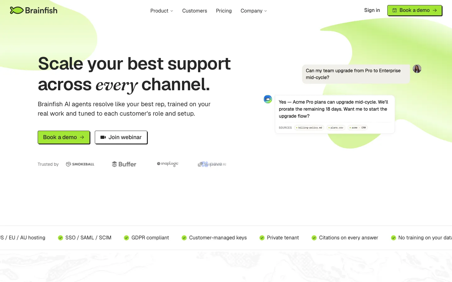 brainfishai.com - Landing Screenshot Preview