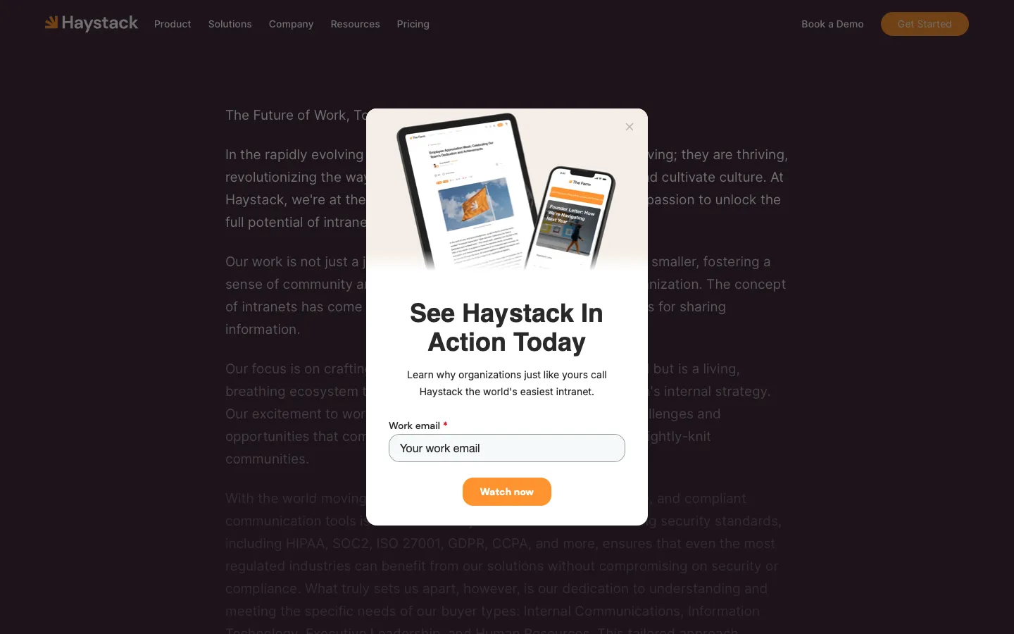 haystackteam.com - Why us Screenshot Preview