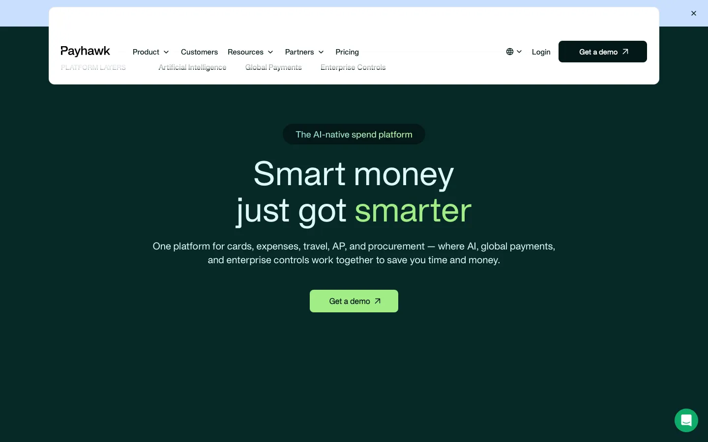 payhawk.com - Landing Screenshot Preview
