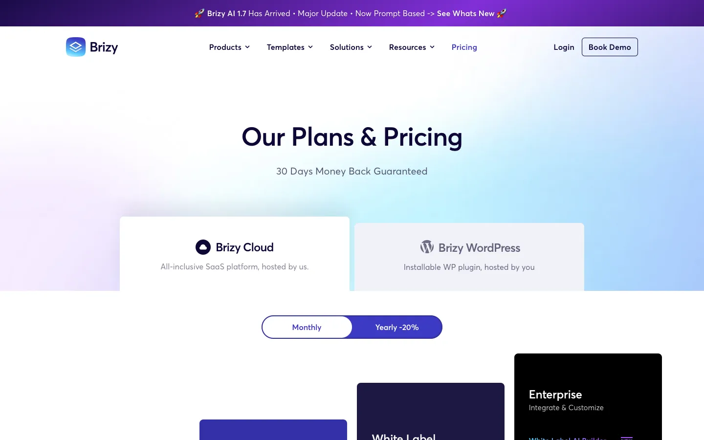 brizy.io - Pricing Screenshot Preview