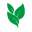 evergreen.so favicon - WebMoment.app