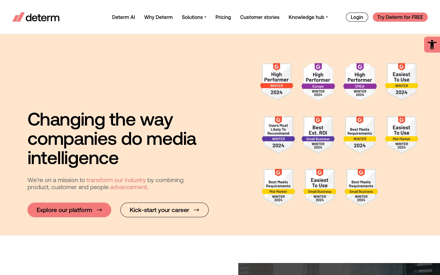 determ.com - About Screenshot Preview
