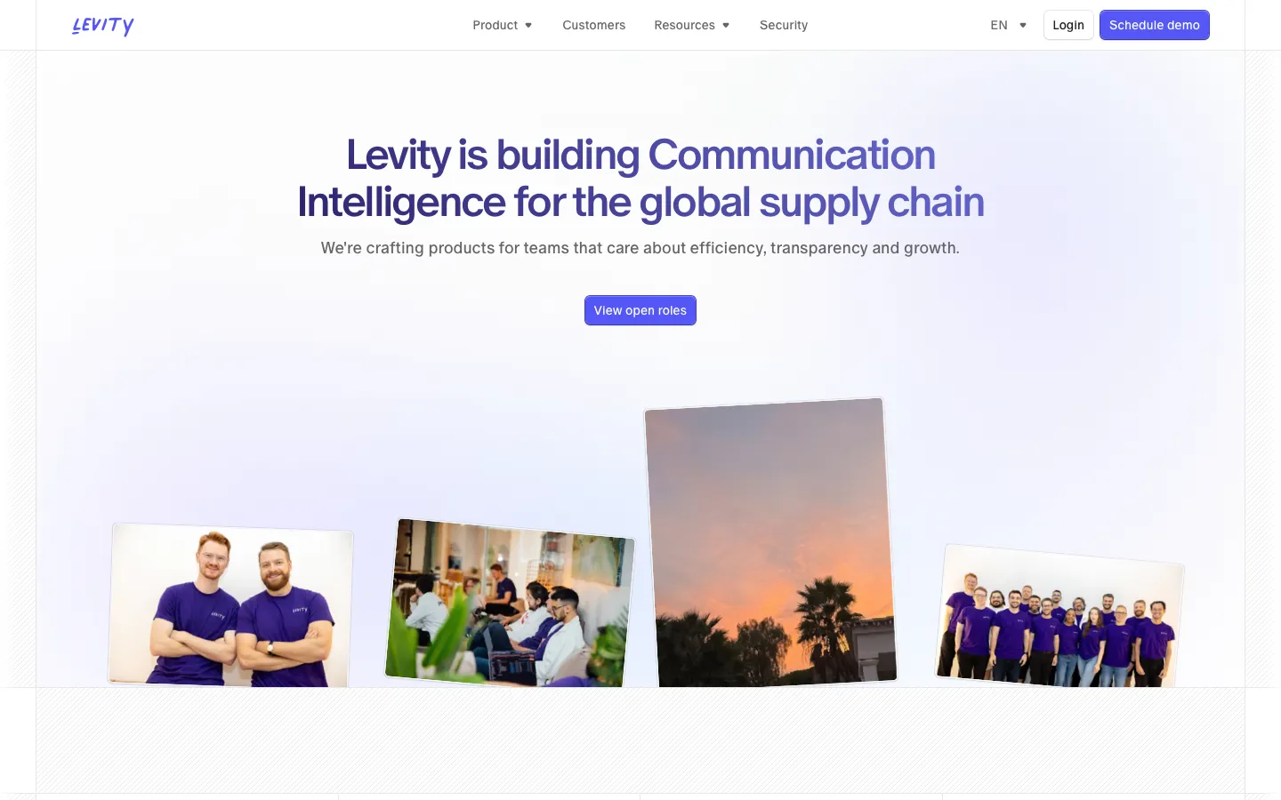 levity.ai - Careers Screenshot Preview