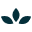 adonis.io favicon - WebMoment.app