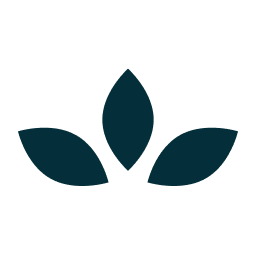 adonis.io favicon - WebMoment.app