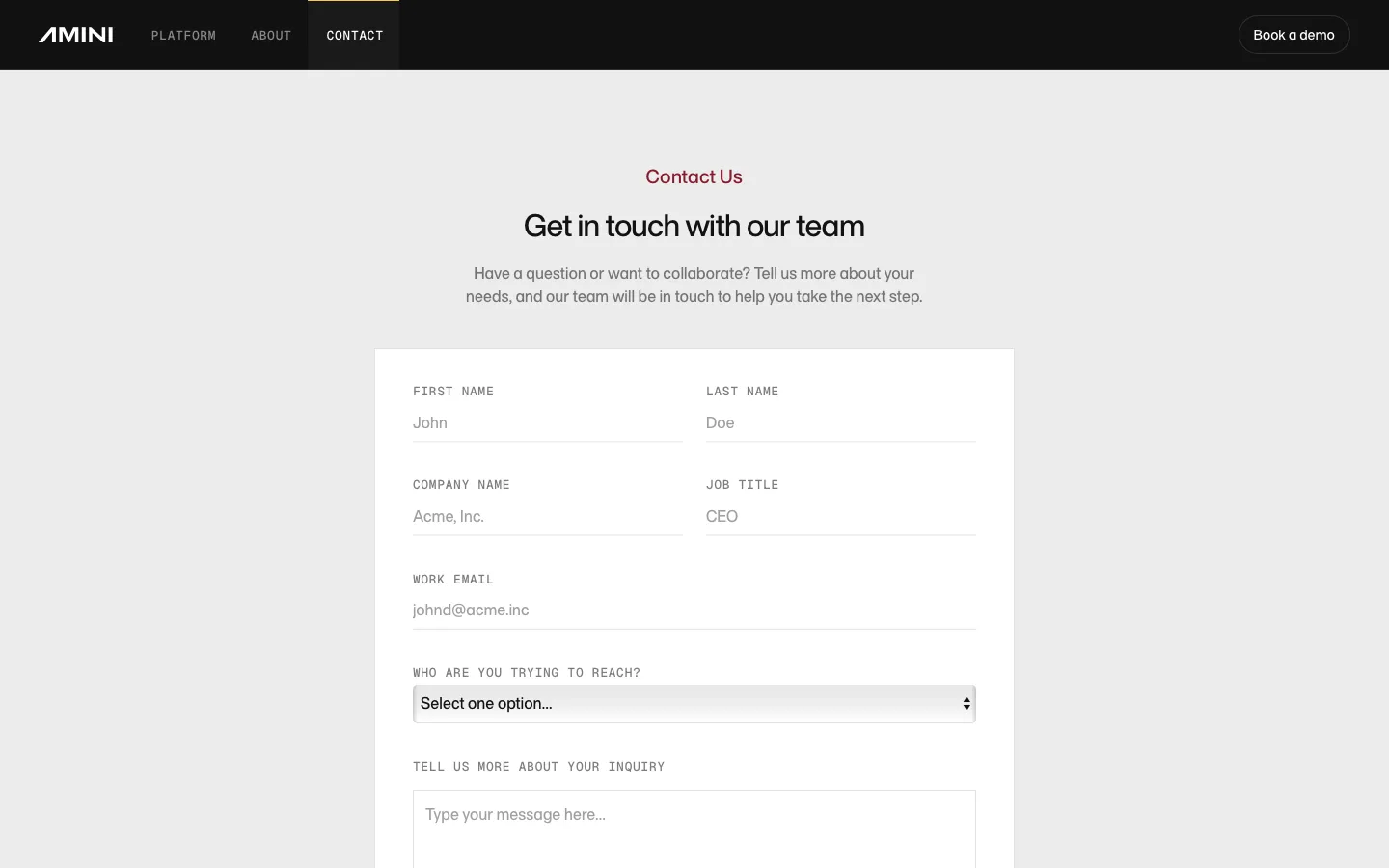 amini.ai - Contact Screenshot Preview