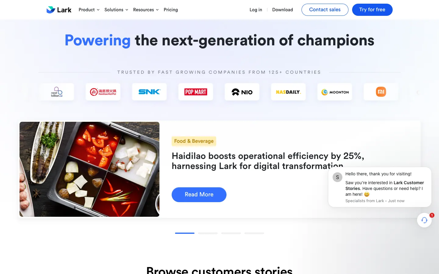 larksuite.com - Customers Screenshot Preview