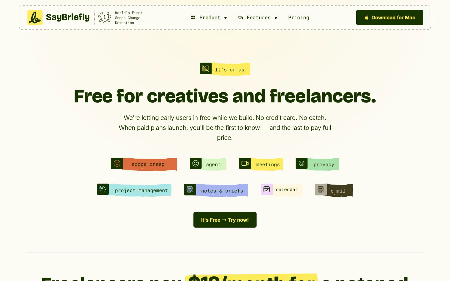 saybriefly.com - Pricing Screenshot Preview