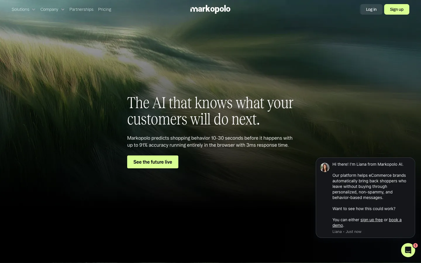 markopolo.ai - Product Screenshot Preview