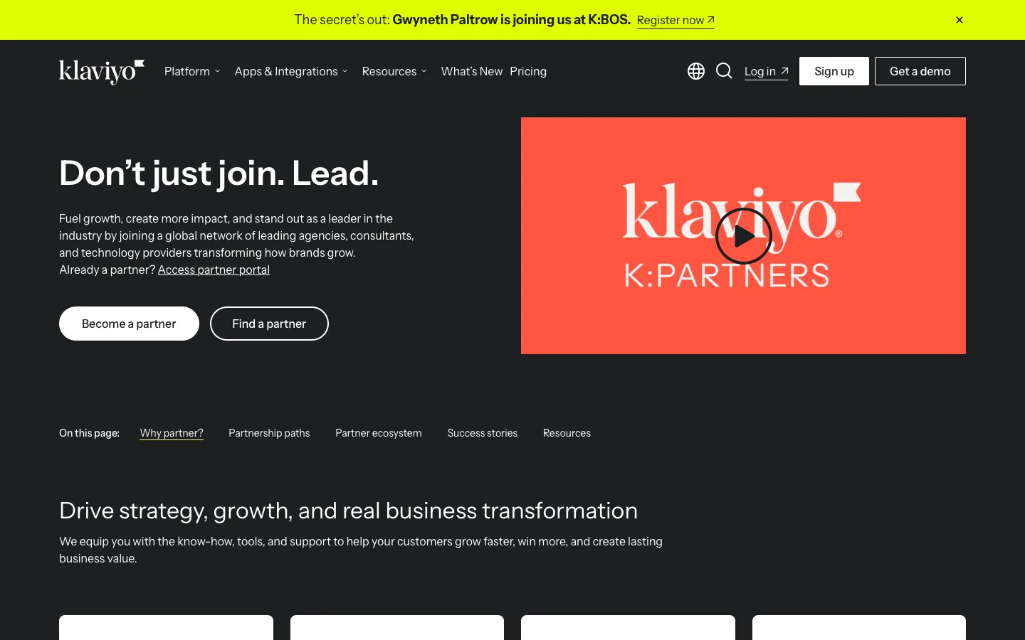 klaviyo.com - Partners Screenshot Preview