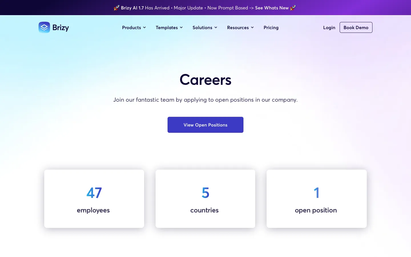 brizy.io - Careers Screenshot Preview