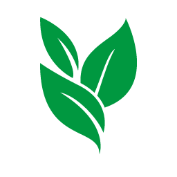 evergreen.so favicon - WebMoment.app