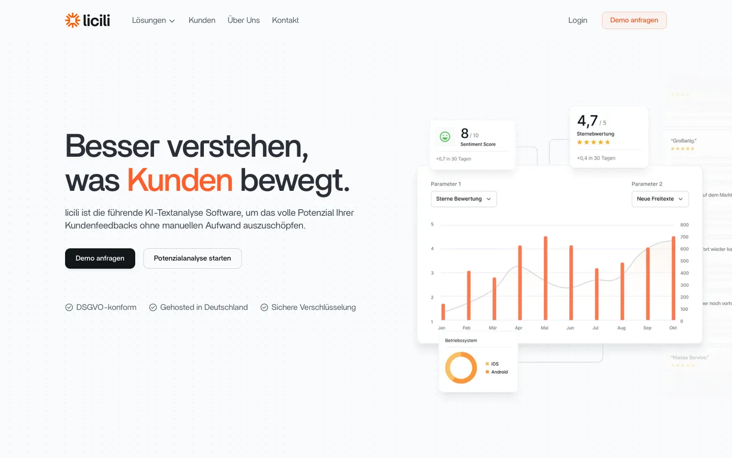 licili.de - Landing Screenshot Preview