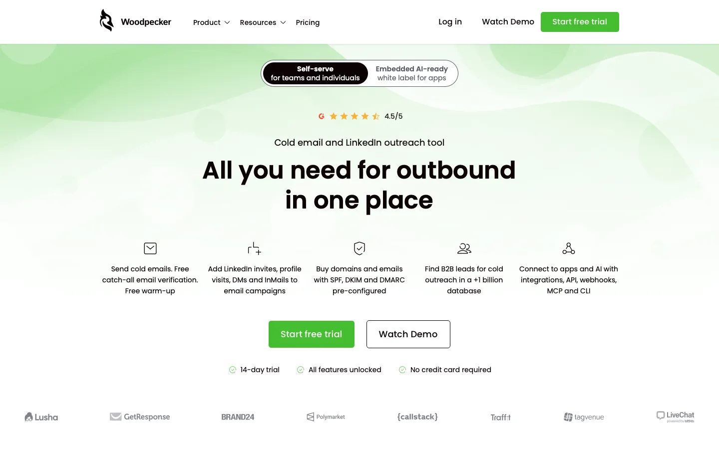 woodpecker.co - Landing Screenshot Preview