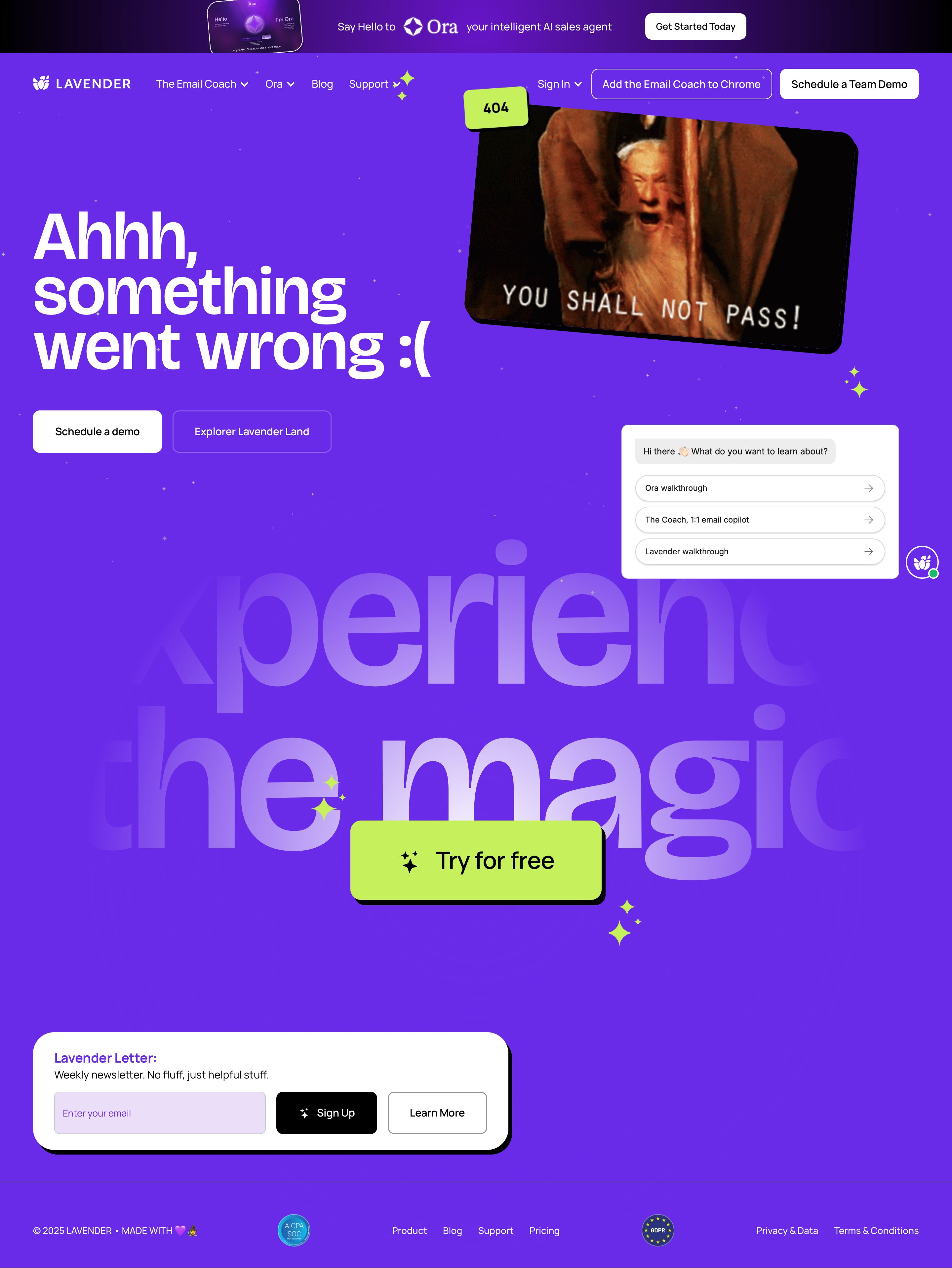 lavender.ai - Not Found - Desktop - Mon Aug 03 2026 15:47:16 GMT+0000 (Coordinated Universal Time) Screenshot